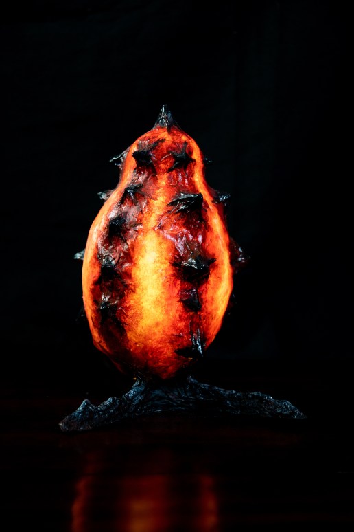 CindyCooperBlair_LifeForm1