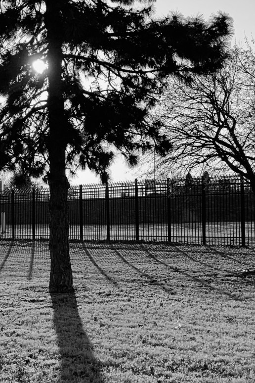 Roy Beckemeyer Sol Etude